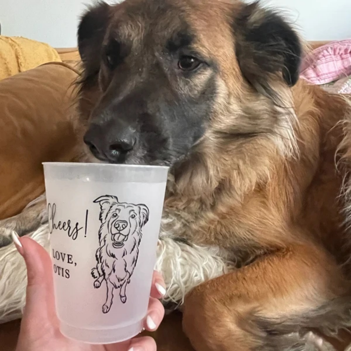 10/50 Personalized Senior Phot - Plastic Cup 50Pcs recension och pris